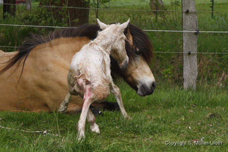 Hjoerdis 24 Min alt (3).JPG